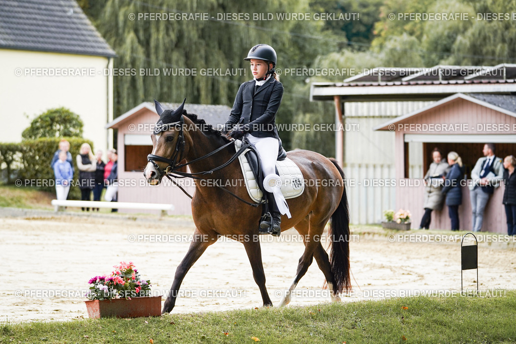 DSC05051 | Pferdegrafie