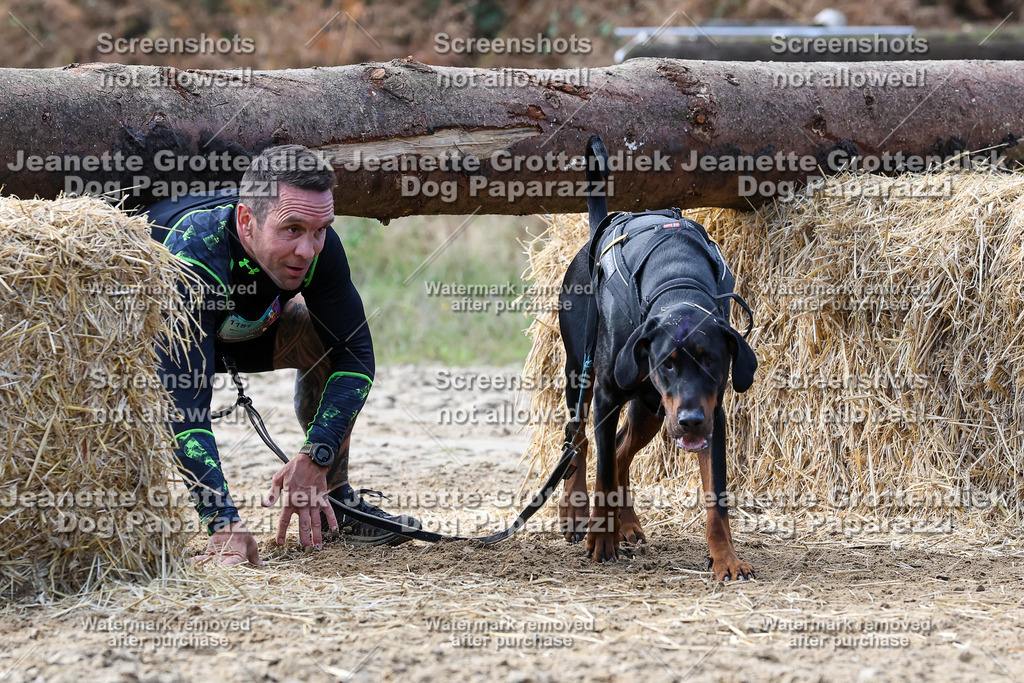 Dog Paparazzi - Strongdog 10-25-5434 | Dog Paparazzi Jeanette Grottendiek Fotografie & Videografie - Realisiert mit Pictrs.com