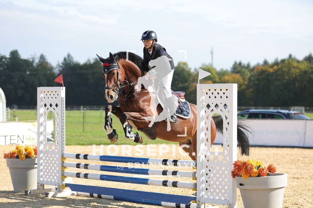 0P6A8119 | Willkommen bei Brunnmayr - Design & Fotografie – Ihrem Spezialisten für Reitturniere und Pferdeveranstaltungen in Oberösterreich, Salzburg und Bayern! Seit über 17 Jahren sind wir leidenschaftlich dabei.