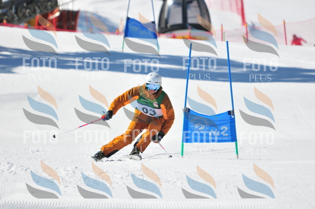 C3293 | holidayphoto