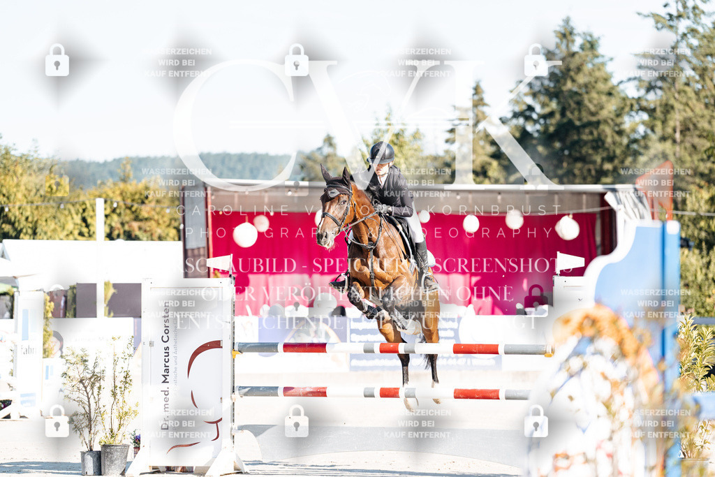 CK904112 | Turnierfotografie Pferdefotografie Trier Rheinland-Pfalz Pferdesport Reitsport Tierfotografie Sportfotografie Pferdevideo Pferdevideografie Equestrianvideography equestrianphotography  - Realisiert mit Pictrs.com