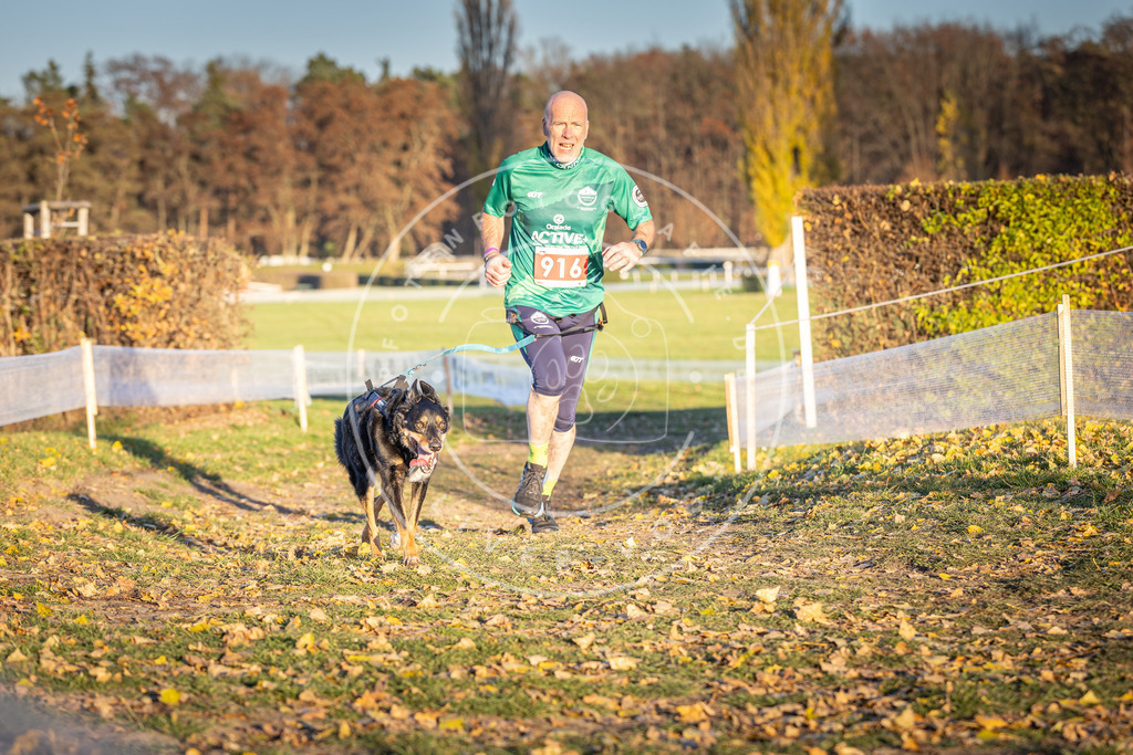 CaniXpix_DV3A4835 | Hundefotografie, Tierfotograf, Pfotenfotografie, Fotoshooting Hund, Hunde Portrait, Hundesport, Hundeportraits, Heideshooting, Hunde, Sportfotograf, Hundefotograf, Turnierhundsport, THS,  - Realisiert mit Pictrs.com