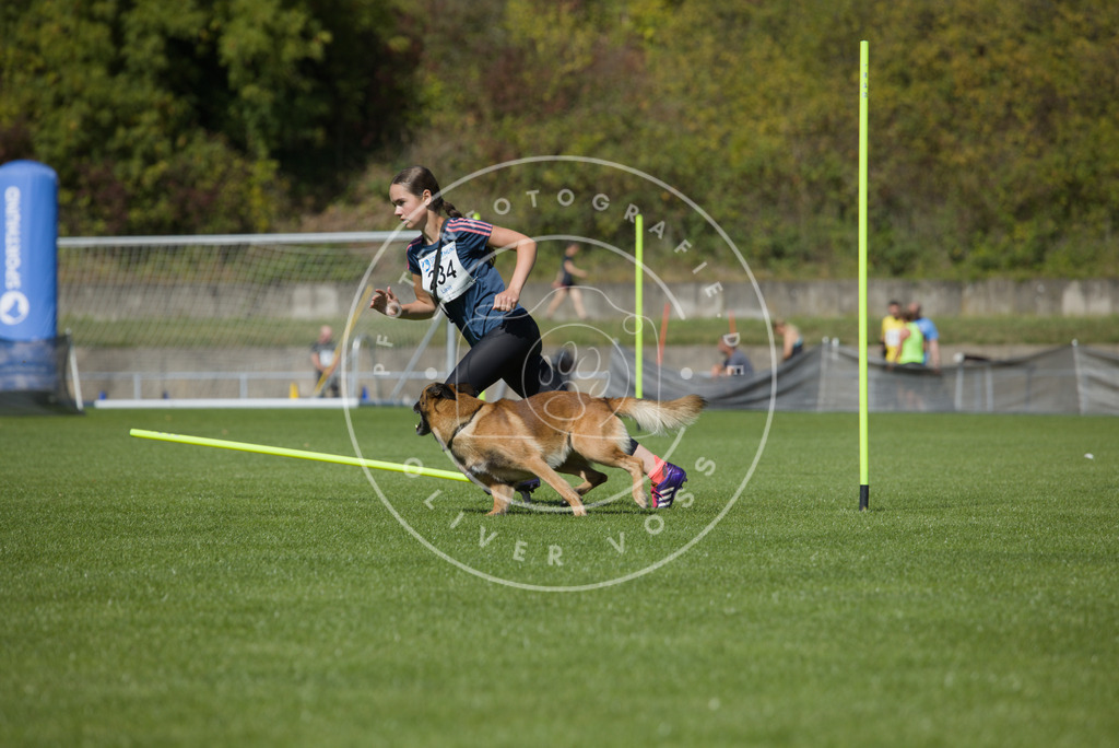 0L8A6095 | Hundefotografie, Tierfotograf, Pfotenfotografie, Fotoshooting Hund, Hunde Portrait, Hundesport, Hundeportraits, Heideshooting, Hunde, Sportfotograf, Hundefotograf, Turnierhundsport, THS,  - Realisiert mit Pictrs.com