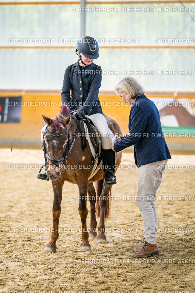 DSC01487 | Pferdegrafie