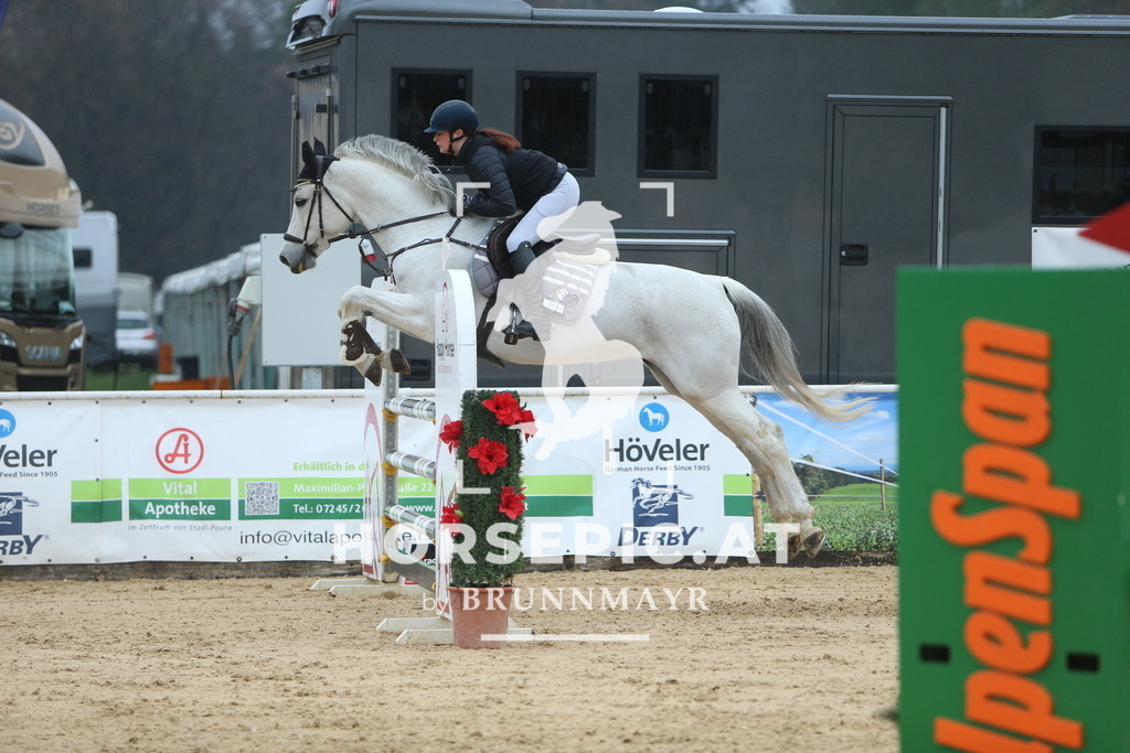 DL2Q6899 | Willkommen bei Brunnmayr - Design & Fotografie – Ihrem Spezialisten für Reitturniere und Pferdeveranstaltungen in Oberösterreich, Salzburg und Bayern! Seit über 17 Jahren sind wir leidenschaftlich dabei.