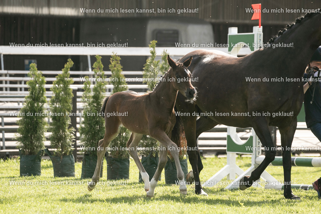 598A6898 | photographylinaismer - Realisiert mit Pictrs.com