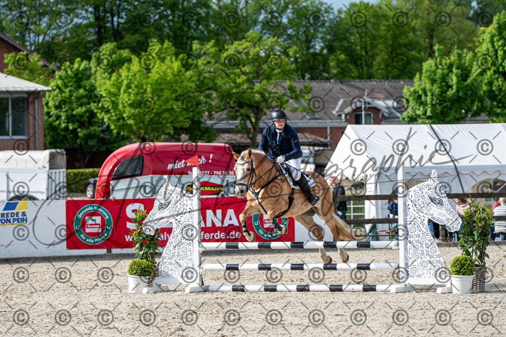 KPT_6699 | andre_photographic