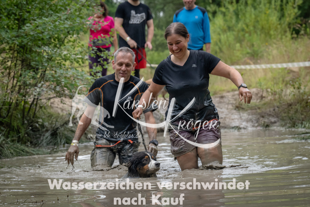 1342_ZZ91965 | kk-dogfotos