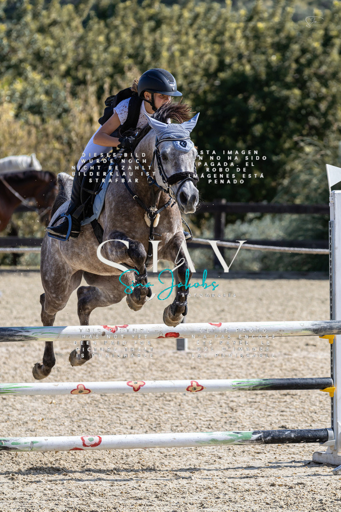 IMG_6311 | s-jay-photography - Realisiert mit Pictrs.com