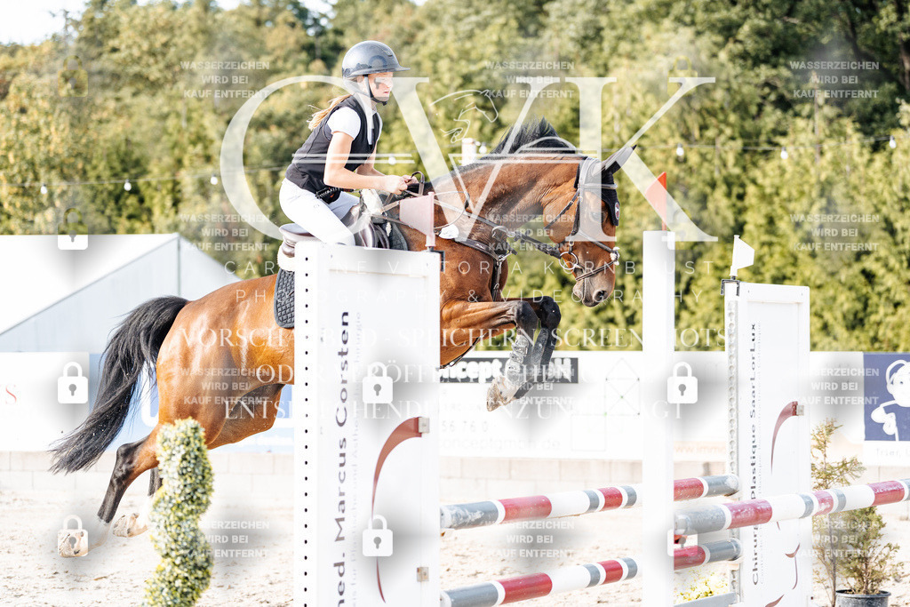 CK907000 | Turnierfotografie Pferdefotografie Trier Rheinland-Pfalz Pferdesport Reitsport Tierfotografie Sportfotografie Pferdevideo Pferdevideografie Equestrianvideography equestrianphotography  - Realisiert mit Pictrs.com