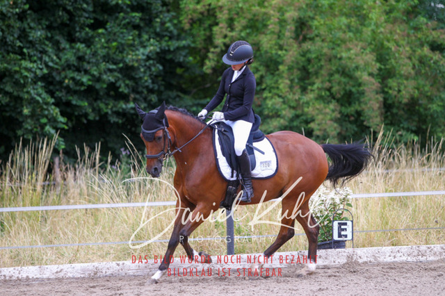 DKP47236 | Turniersportfotografie; Pferdefotografie; Dressurfotografie