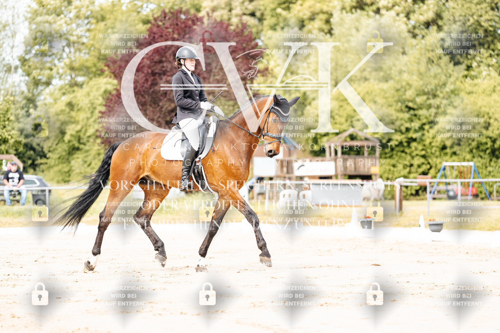 CK900769 | Turnierfotografie Pferdefotografie Trier Rheinland-Pfalz Pferdesport Reitsport Tierfotografie Sportfotografie Pferdevideo Pferdevideografie Equestrianvideography equestrianphotography  - Realisiert mit Pictrs.com