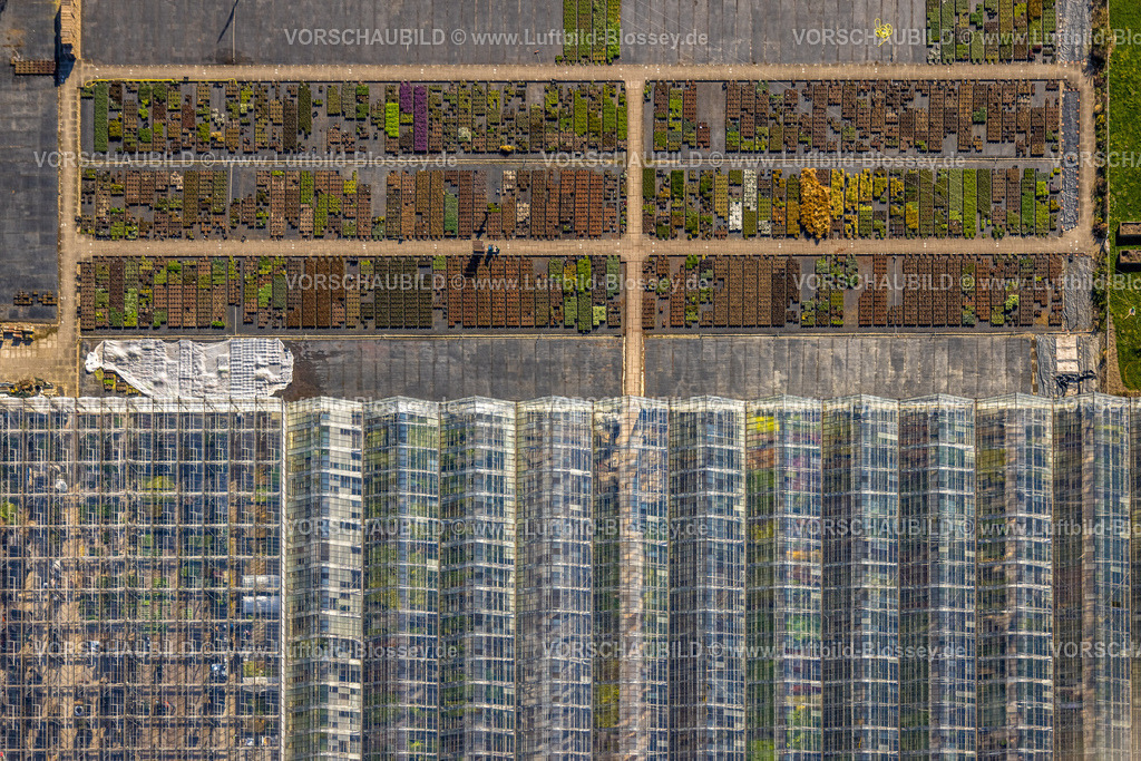 Nordkirchen250400677Capelle | Luftbild, Gartenbaubetrieb Heutinck Pflanzen GmbH, Gewächshaus Dach und Blumenbeet, Formen und Farben, Senkrechtaufnahme, Südkirchen, Nordkirchen, Münsterland, Nordrhein-Westfalen, Deutschland