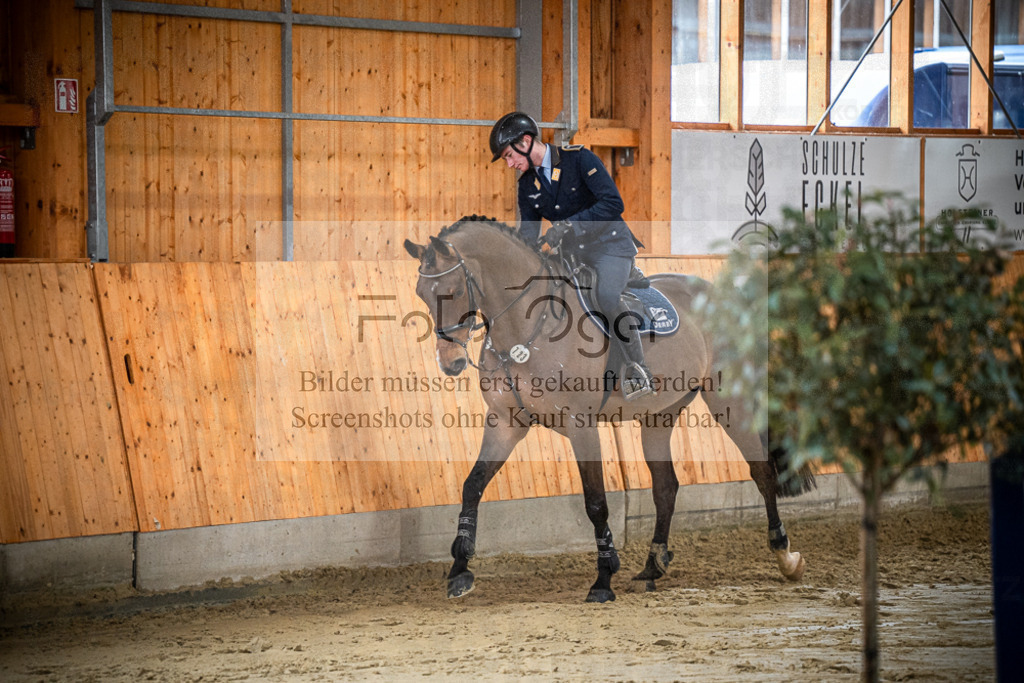 DOS_0222 | Entdecke hochwertige Reitturnierfotos von Foto Oger. Professionell, emotional und authentisch – jetzt Lieblingsmomente im Shop bestellen.Deutschlandweite Turnierfotografie. - Realisiert mit Pictrs.com