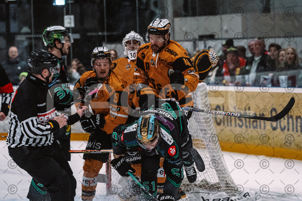 Alligators_vs_Fuessen_01_03_2026_PP-36 | Höchstadt Alligators Fotogalerie: Eishockey-Action aus Franken. Professionelle Spielfotos, Portraits & Stadionbilder zum Download. Jetzt entdecken! - Realisiert mit Pictrs.com