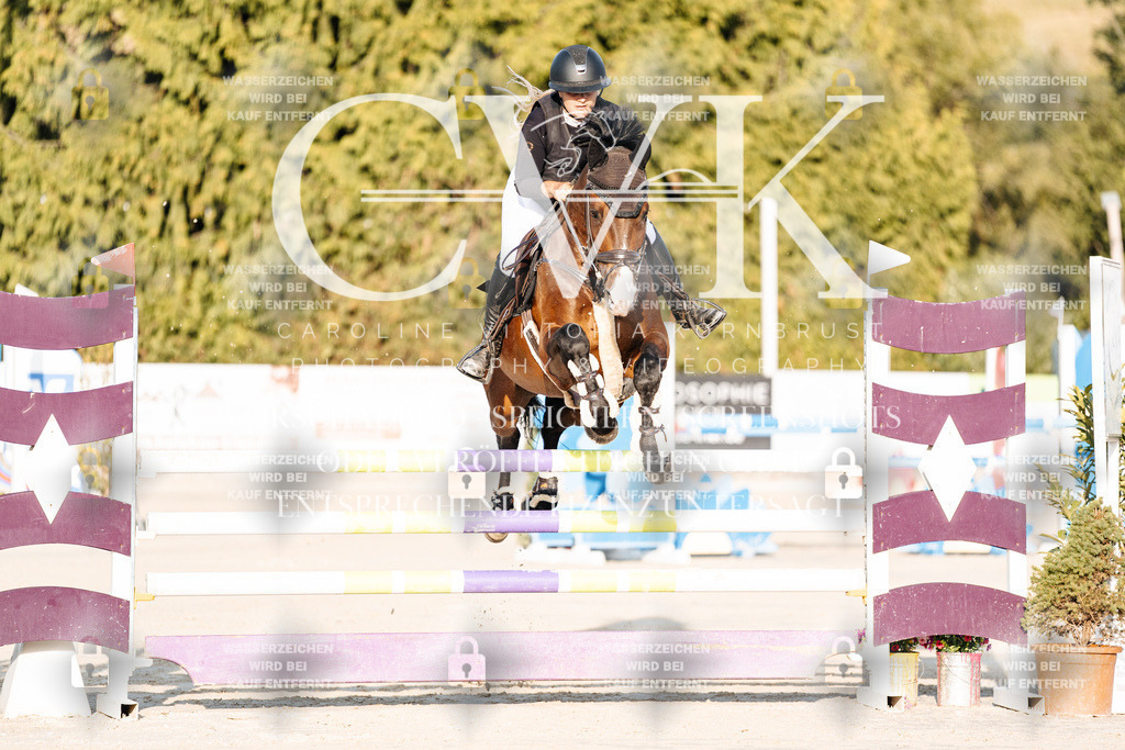 CK900594 | Turnierfotografie Pferdefotografie Trier Rheinland-Pfalz Pferdesport Reitsport Tierfotografie Sportfotografie Pferdevideo Pferdevideografie Equestrianvideography equestrianphotography  - Realisiert mit Pictrs.com