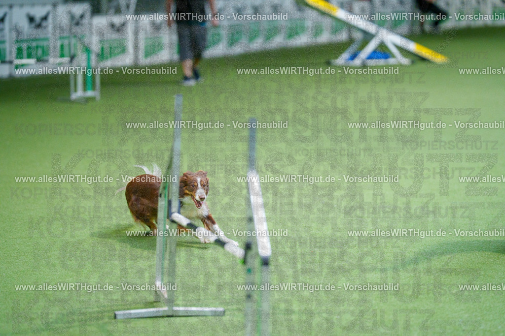 @allesWIRTHgut_Tierfotografie - www.allesWIRTHgut.de - 2604250811-7R505649 | Professionelle Tierfotografie in Mönchengladbach von Daniel Wirth (allesWIRTHgut). Liebevolle & natürliche Bilder von Hunden & Katzen für unvergessliche Erinnerungen.