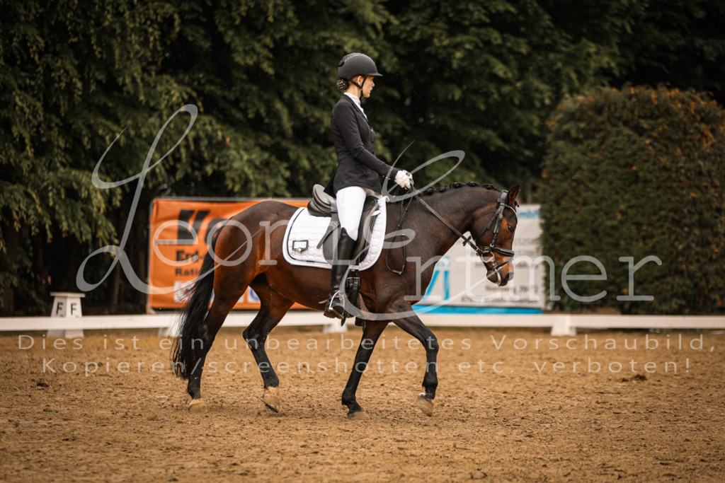 DoDrA00440 | Leoni Ertmer Photography - Realisiert mit Pictrs.com