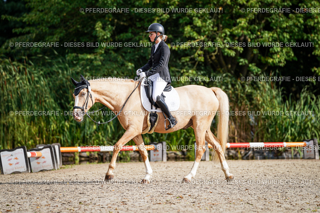 DSC00923 | Pferdegrafie