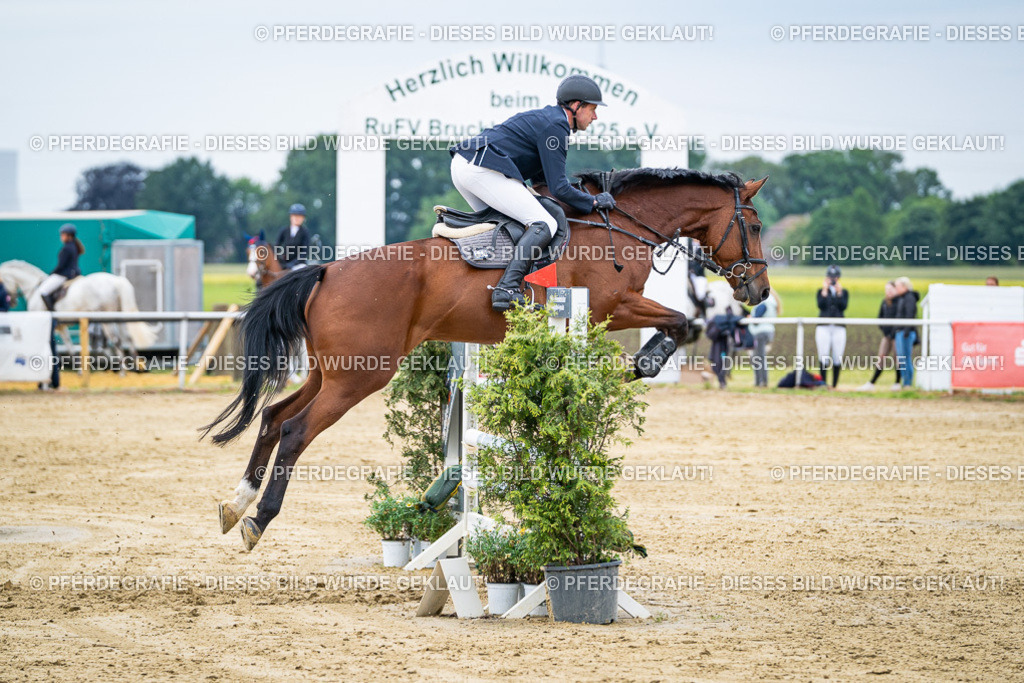 DSC05191 | Pferdegrafie