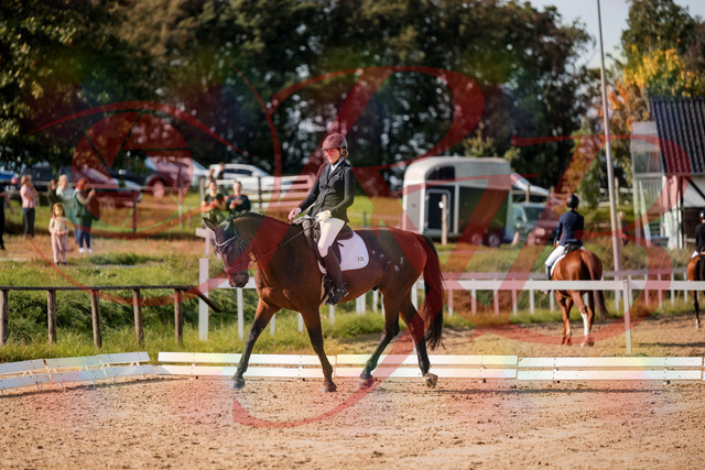 2026_10_03_Siefer-Hof_122848_Z63_49257181 | Professionelle Reitsport-, Turnier- und Eventfotografie von Robert Broda. Galerien mit ausgewählten und bearbeiteten Bildern direkt online ansehen und bestellen.
