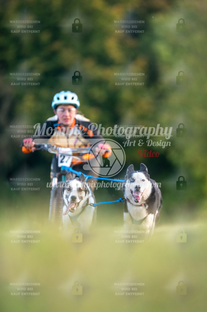 CDLBDB_15_10_2023_Dimanche-53 | mompixphotography