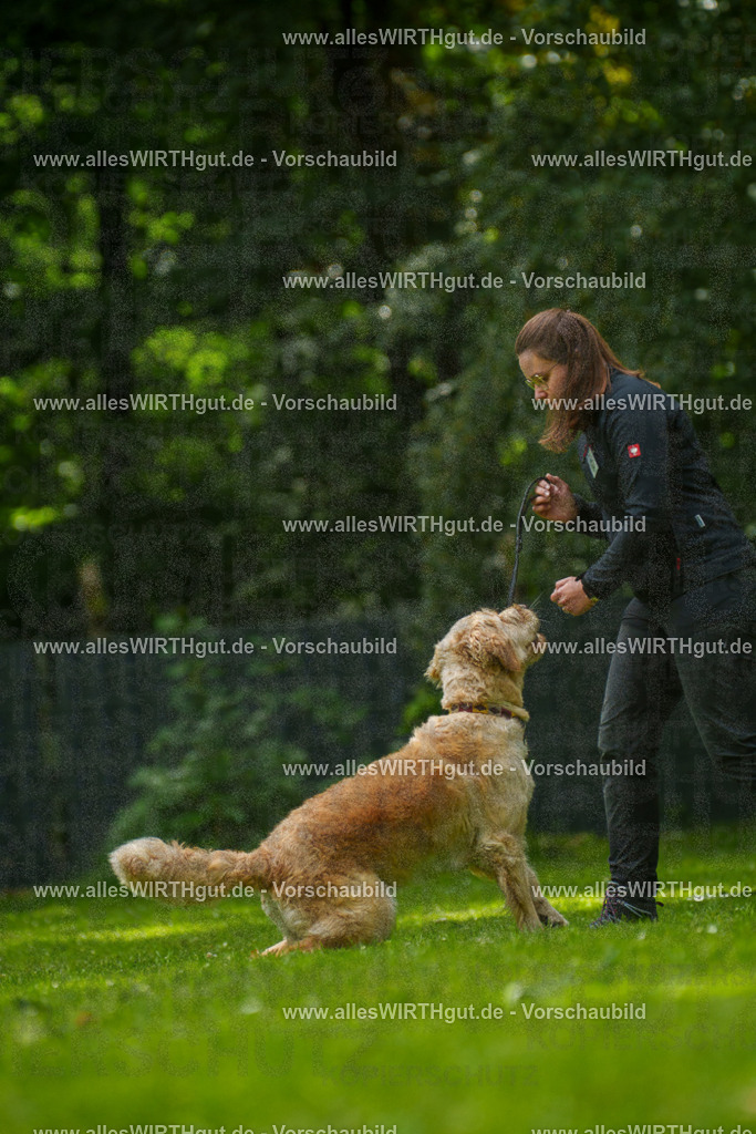 @allesWIRTHgut_Tierfotografie - www.allesWIRTHgut.de - 7R501545 | Professionelle Tierfotografie in Mönchengladbach von Daniel Wirth (allesWIRTHgut). Liebevolle & natürliche Bilder von Hunden & Katzen für unvergessliche Erinnerungen.