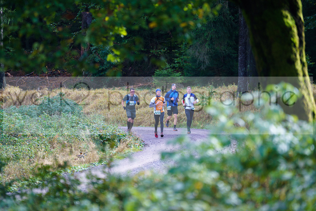 Herbstlauf 2024 | Rennsteig-Herbstlauf von Neuhaus am Rennweg nach Masserberg am 6. Oktober 2024