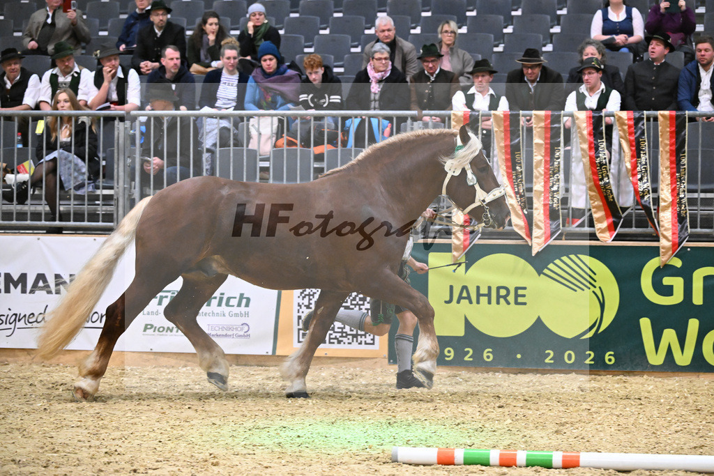Kat-Nr. 11 Valesco I v. Venturin_HHG Bad Toelz_1260191 | hf-fotografie - Realisiert mit Pictrs.com