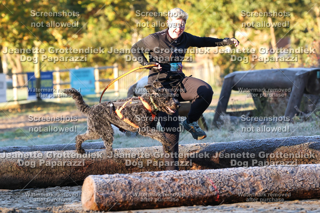 Dog Paparazzi - Strongdog 10-25-437 | Dog Paparazzi Jeanette Grottendiek Fotografie & Videografie - Realisiert mit Pictrs.com