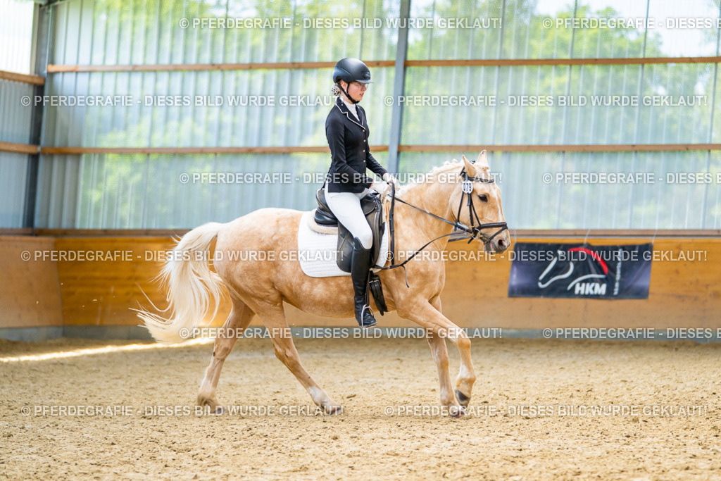 DSC09332 | Pferdegrafie