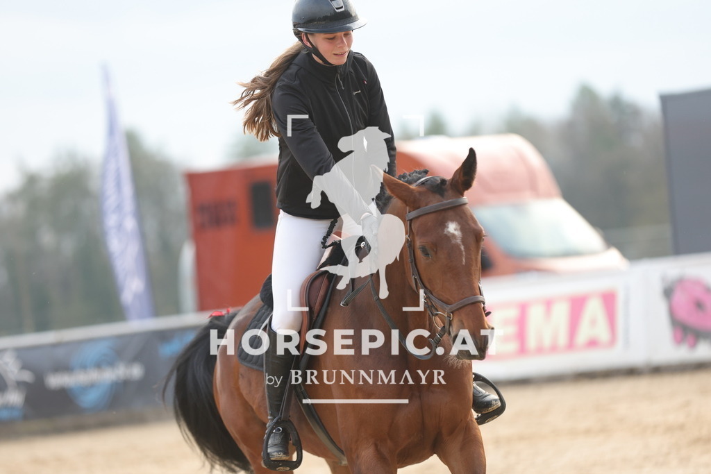 0P6A3063 | Willkommen bei Brunnmayr - Design & Fotografie – Ihrem Spezialisten für Reitturniere und Pferdeveranstaltungen in Oberösterreich, Salzburg und Bayern! Seit über 17 Jahren sind wir leidenschaftlich dabei.