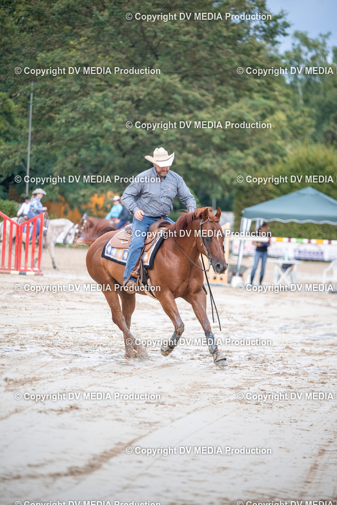 ZS2_4370 | dv-media-shop - Realisiert mit Pictrs.com