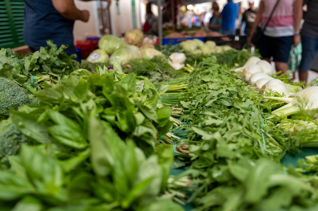 Mittelmeer (15) | hgt-foto