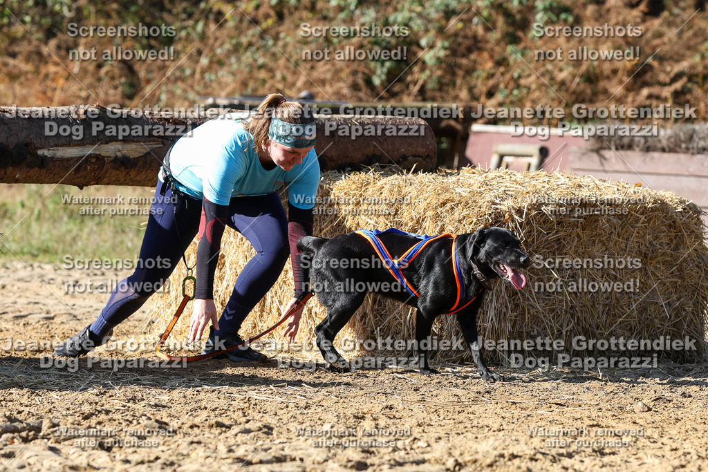Dog Paparazzi - Strongdog 10-25-2922 | Dog Paparazzi Jeanette Grottendiek Fotografie & Videografie - Realisiert mit Pictrs.com