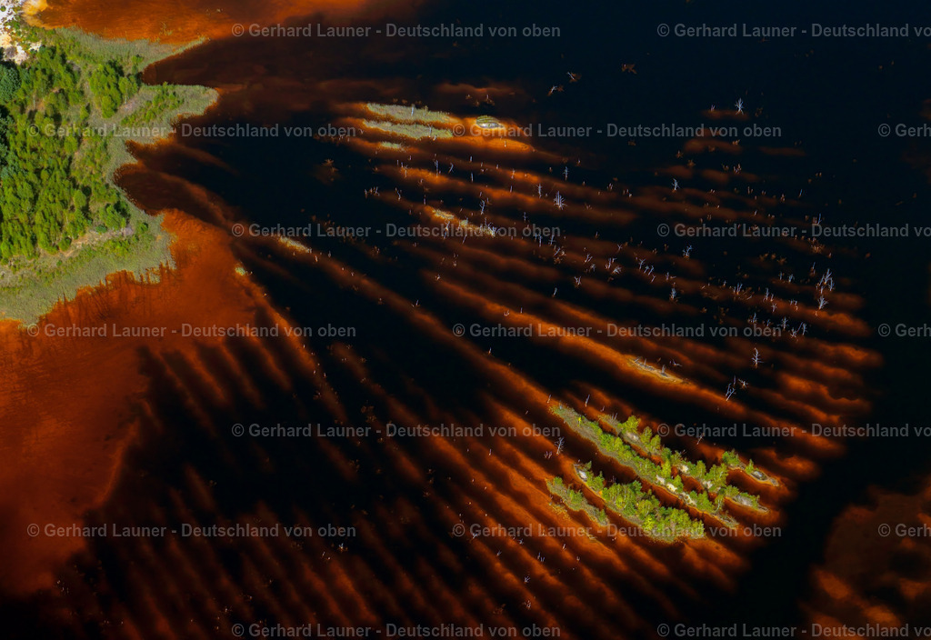 3291950 | Baum-und Wasserstrukturen im Fabiansteich