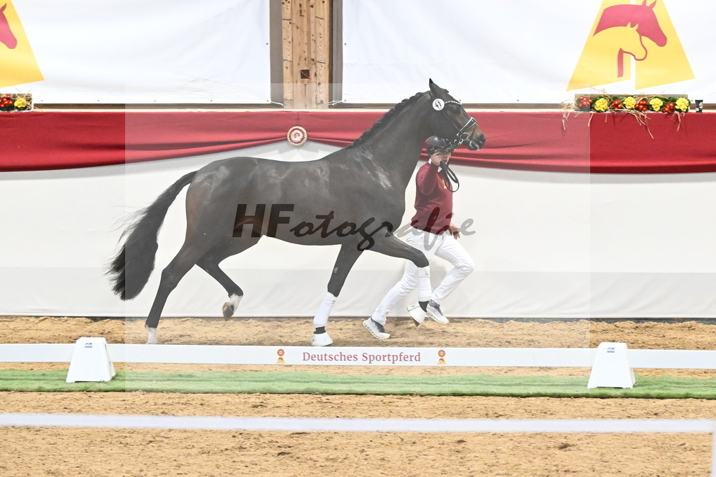 Kat.-Nr. 41 v. Despacito_Frank_3260263 | hf-fotografie - Realisiert mit Pictrs.com