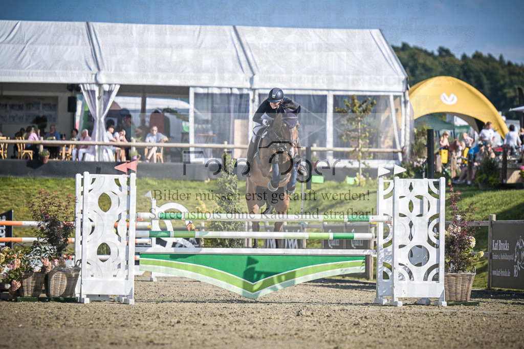 DOS_1555 | Entdecke hochwertige Reitturnierfotos von Foto Oger. Professionell, emotional und authentisch – jetzt Lieblingsmomente im Shop bestellen.Deutschlandweite Turnierfotografie. - Realisiert mit Pictrs.com