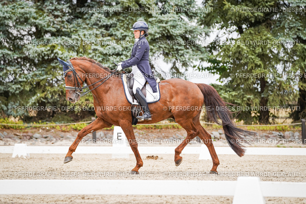 DSC05877 | Pferdegrafie