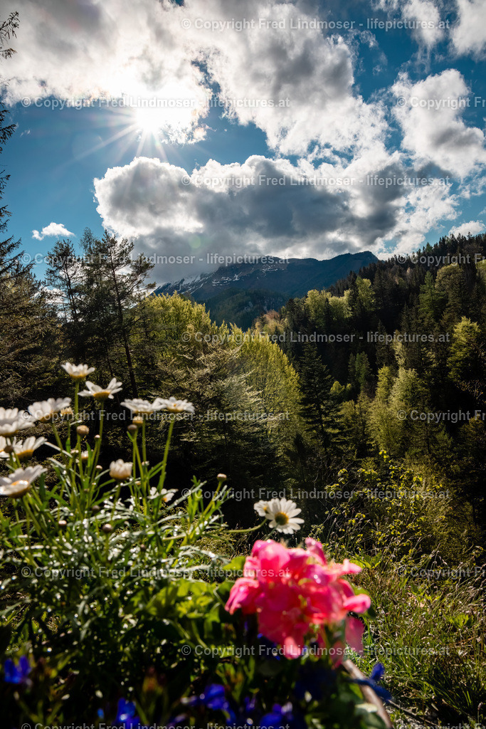 Marienstein Naturpark Oetscher Tormaeuer-4320 | Fotos und Fotoprodukte - Realisiert mit Pictrs.com