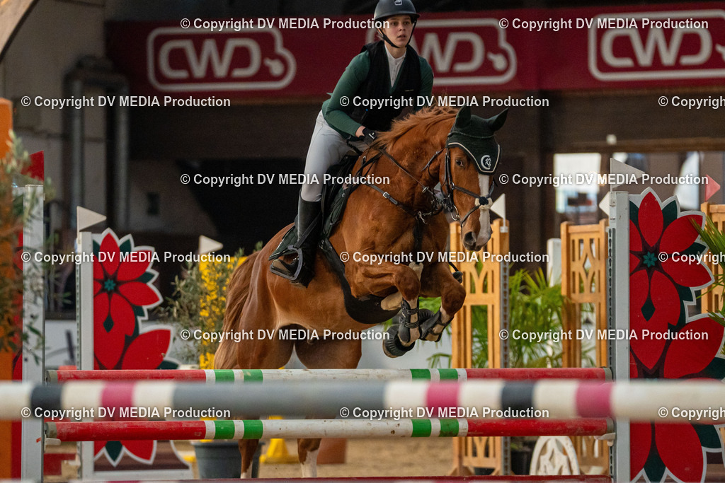 Kranichstein Tag 1-385 | dv-media-shop - Realisiert mit Pictrs.com