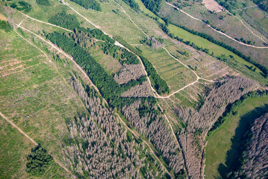 Reste des Borkenkäferwalds und Aufforstungen | Luftbild: Reste des Borkenkäferwalds und Aufforstungen im Ortsteil Rotha in Sangerhausen im Bundesland Sachsen-Anhalt in Deutschland. Foto: IMG_136737.jpg vom 18.06.2023 durch ©2025 Werner Riehm fly-foto.de/copyright - Realisiert mit Pictrs.com
