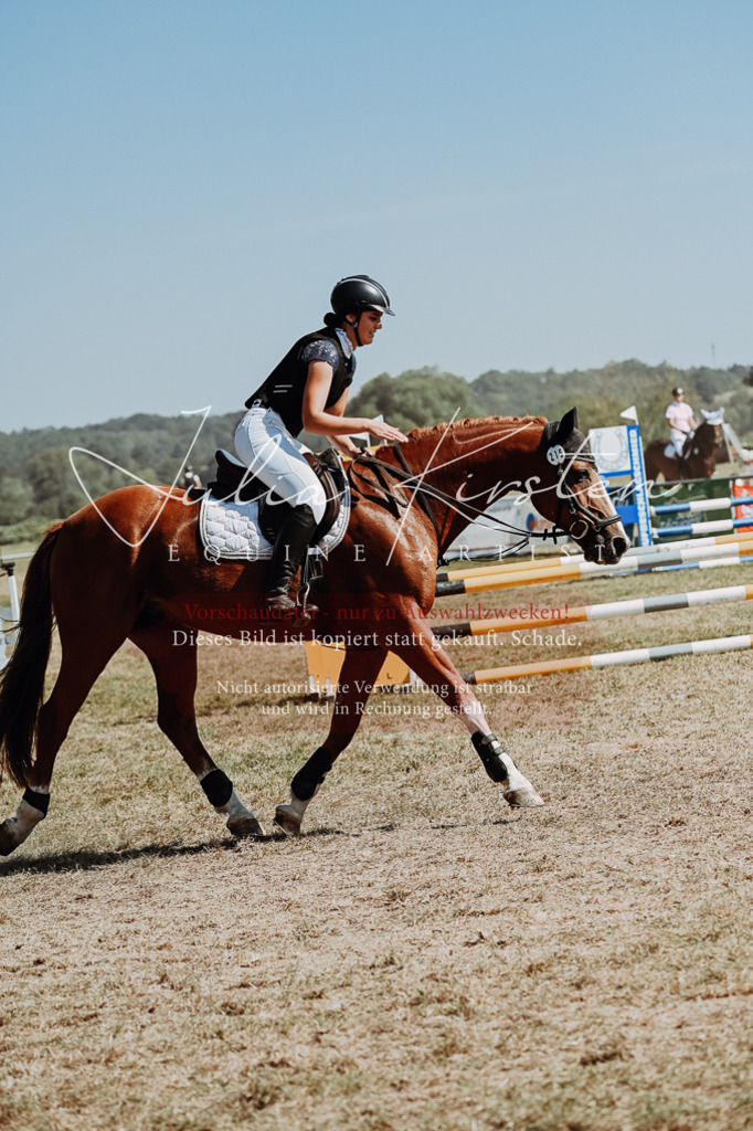 DSC_9701 | Pferde- und Turnierfotografie in Westsachsen. Pferdeportraits, Auftragszeichnungen und intuitive Kunst.