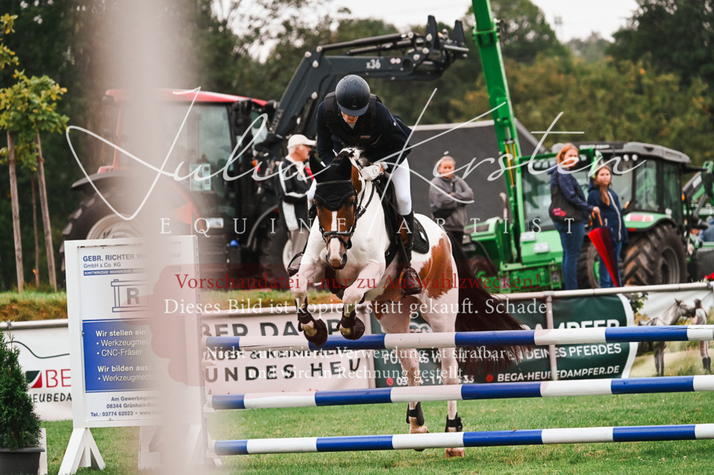 DSC_6503 | Pferde- und Turnierfotografie in Westsachsen. Pferdeportraits, Auftragszeichnungen und intuitive Kunst.