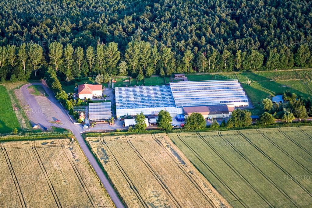 Luftbild: Kakteenland in Steinfeld im Bundesland Rheinland-Pfalz in Deutschland. Foto: IMG_3151.jpg vom 30.06.2006 durch Werner Riehm/FLY-FOTO.de