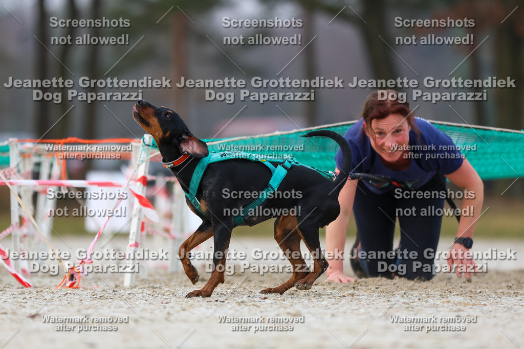 Dog Paparazzi - Strongdog North Mrz26-3627 | Dog Paparazzi Jeanette Grottendiek Fotografie & Videografie - Realisiert mit Pictrs.com