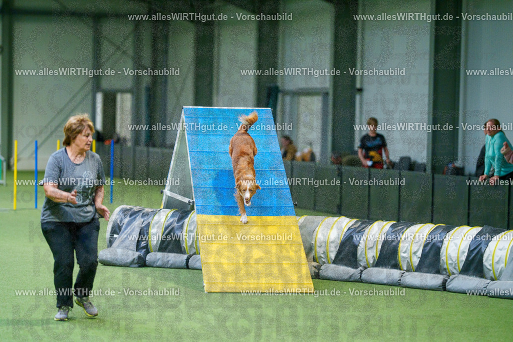 @allesWIRTHgut_Tierfotografie - www.allesWIRTHgut.de - 2604250824-7R506443 | Professionelle Tierfotografie in Mönchengladbach von Daniel Wirth (allesWIRTHgut). Liebevolle & natürliche Bilder von Hunden & Katzen für unvergessliche Erinnerungen.