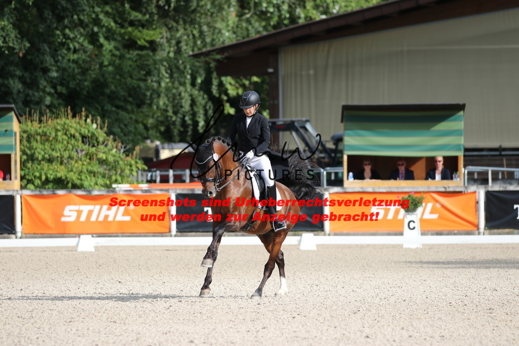 IMG_1056 | lmwpictures - Realisiert mit Pictrs.com