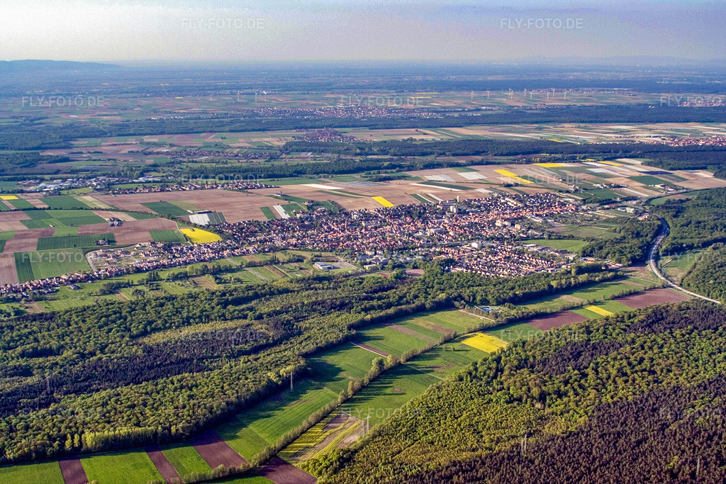 Luftbild: Stadtansicht von Südwesten in Kandel im Bundesland Rheinland-Pfalz in Deutschland. Foto: IMG_10585.jpg vom 04.05.2008 durch Werner Riehm/FLY-FOTO.de