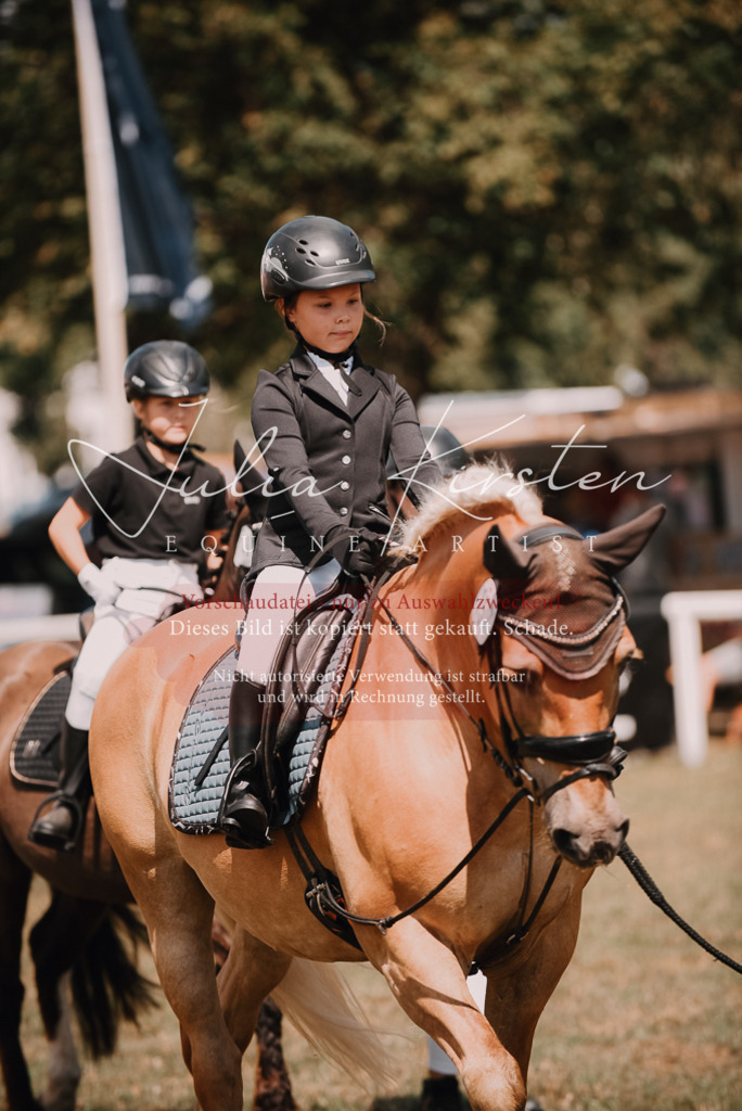 DSC_6115 | Pferde- und Turnierfotografie in Westsachsen. Pferdeportraits, Auftragszeichnungen und intuitive Kunst.